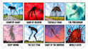 design  high CTR youtube thumbnail in 3hrs