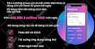 create social media management and content creator