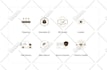 create png, svg icons for app and website