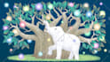 create character design, animal character, cartoons