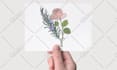 create sketch illustration fully hand drawn