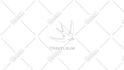 design botanical hand drawn logo