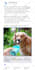 be your facebook ads manager