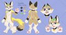 draw a reference sheet and art of your furry character