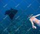 bring your underwater photos to life with vibrant edits
