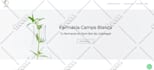 design or customize wordpress website using salient theme