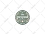 design a professional modern business logo with brand identity in 24 hours