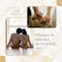design social media templates, canva editable post
