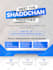 design professional and amazing flyer poster, brochure