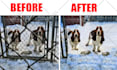 adobe photoshop object remove restortion