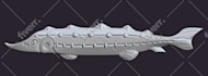 make a high quality 3d jewelry model for you
