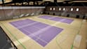 3d rendering sport complex, gym, stadium, indoor academy, pickleball court video