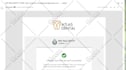 solve your wordpress not receiving email in few hours SMTP