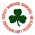 update,redraw,resize,digitalize,recreate logo in 3