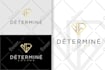 create 2 minimalist awesome logo in 12 hours