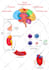 design your scientific and educational illustrations