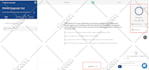 write blogs, articles and website content