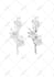 create a custom minimalist fine line tattoo design