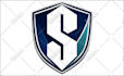 recreate, vector trace, redraw logo, cleanup, image to vector