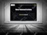 build professional wordpress website design and development