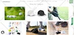 design and develop branded shopify store, shopify website