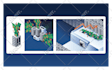 create flat illustration isometric style