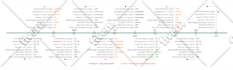 create a unique business timeline infographics