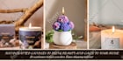 design squarespace website design squarespace website redesign ugc porfolio