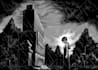 draw black and white illustrations