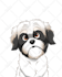 draw your pet portrait into cute disney style