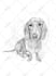 draw your pet into sketch art portrait
