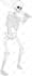 draw cool skeleton design