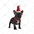 draw your pets animal photo into cute animal illustrations