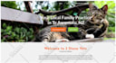 be your webflow expert, design or redesign webflow website, figma to webflow