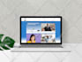 do wordpress website development for ecommerce and business website