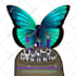 do african american character design women art and logo