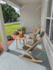 do virtual staging and virtual renovation for your listing