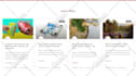 fix wordpress issues, wordpress bug fix, fix wordpress errors, woocommerce fix