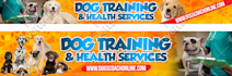 design a professional web banner,header,ads,cover
