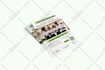 do educational poster and flyer designing for school kids
