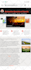 design, customize, and develop a modern wordpress website
