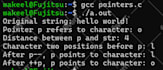 develop cpp, c program project or sdl sfml game