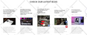 build wordpress website development, business website or ecommerce website