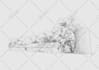 create super artistic line art illustration