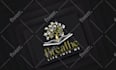 create custom professional business logo design and branding