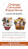 flyer, magazine ad half page ad, quarter page ad design