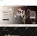 design or redesign wordpress website