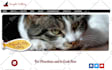 restore wordpress, wix, squarespace, html websites from wayback machine