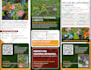 create modern trifold brochure design in 24 hours