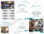 design a flyer, promotional email, newsletter or brochure